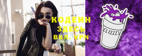 молекула духа Арсеньев