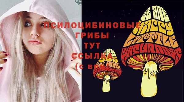 твердый Покровск