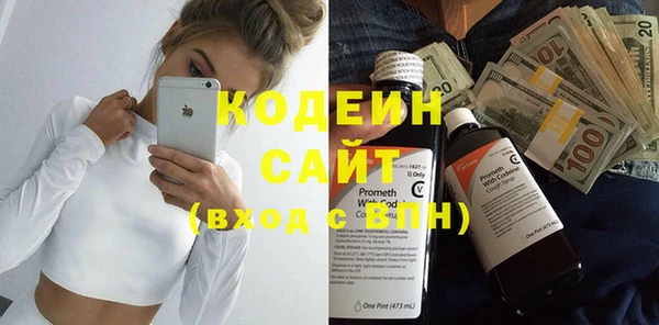 молекула духа Арсеньев