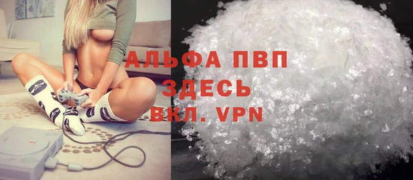 молекула духа Арсеньев